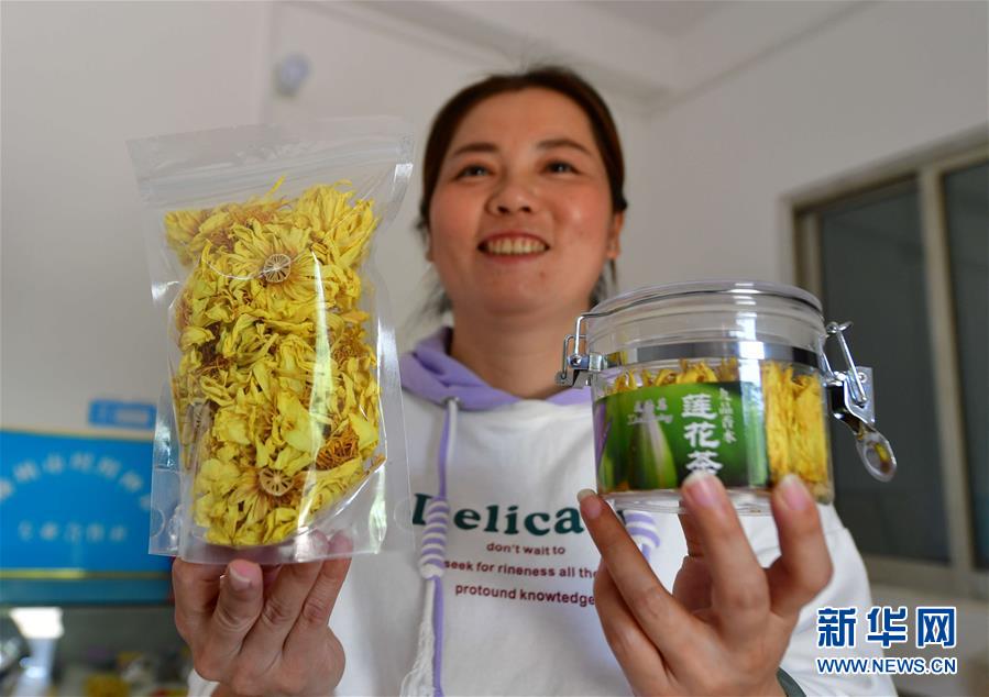 （全面建成小康社會(huì)“百城千縣萬村調(diào)研行”·圖文互動(dòng)）（5）廣西柳州下陶村：一朵花闖出的致富路