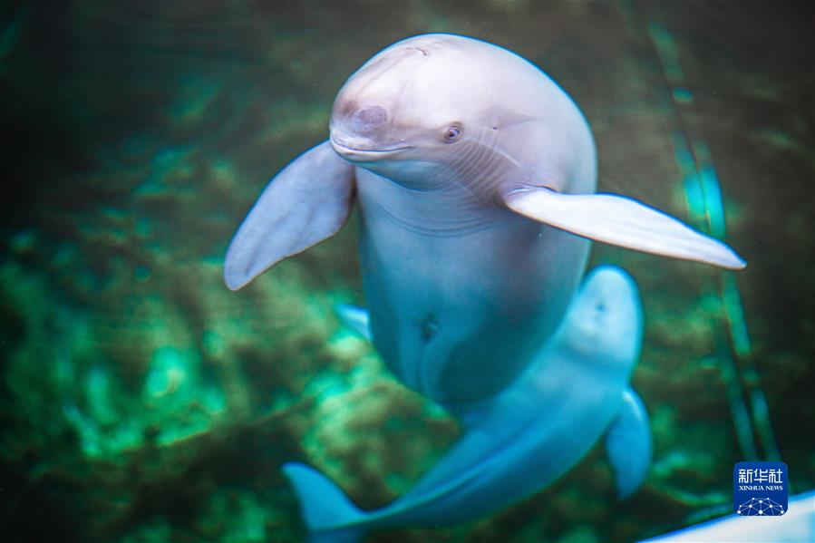 (新華全媒頭條·奮進新征程 建功新時代·非凡十年·圖文互動)(6)湖北:奮力譜寫高質量發展新篇章