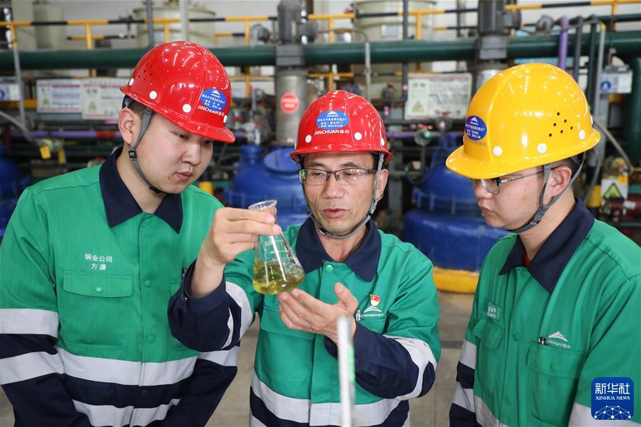 (二十大代表風采·圖文互動)(1)潘從明:十年磨劍 精益求“金”